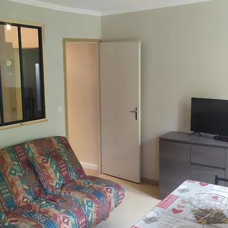 Location T1 Hyper Centre 350 M Des Thermes 200 M Des Telecabines Deuxieme Etage Avec Ascenseur *