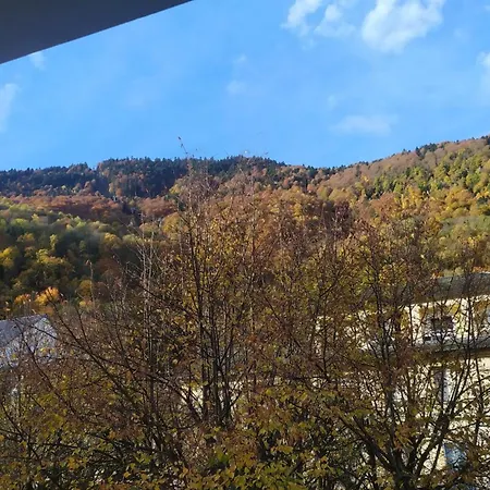 Location T1 Hyper Centre 350 M Des Thermes 200 M Des Telecabines Deuxieme Etage Avec Ascenseur Appartement