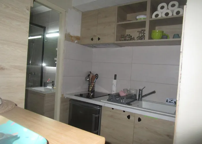 T1 Hyper Centre 350 M Des Thermes 200 M Des Telecabines Deuxieme Etage Avec Ascenseur