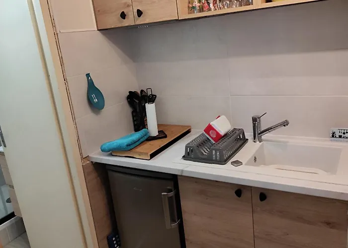 T1 Hyper Centre 350 M Des Thermes 200 M Des Télécabines Deuxième étage Avec Ascenseur Appartement