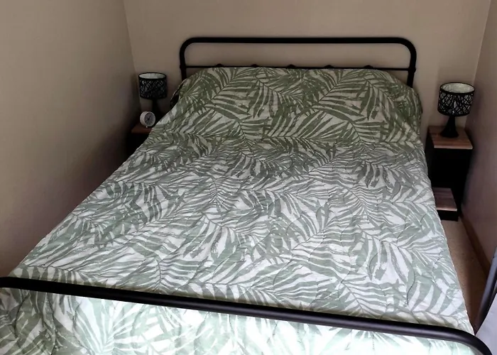 Appartement T1 Hyper Centre 350 M Des Thermes 200 M Des Télécabines Deuxième étage Avec Ascenseur *